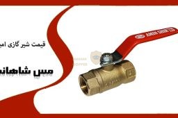 قیمت شیر گازی امین